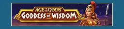 Wild Crusade: Empire Treasures